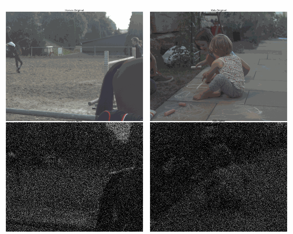 RSSF(Real Scenes with Spike and Flow)