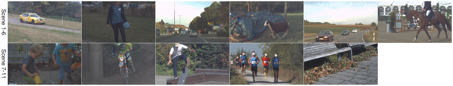 测试集抽样展示