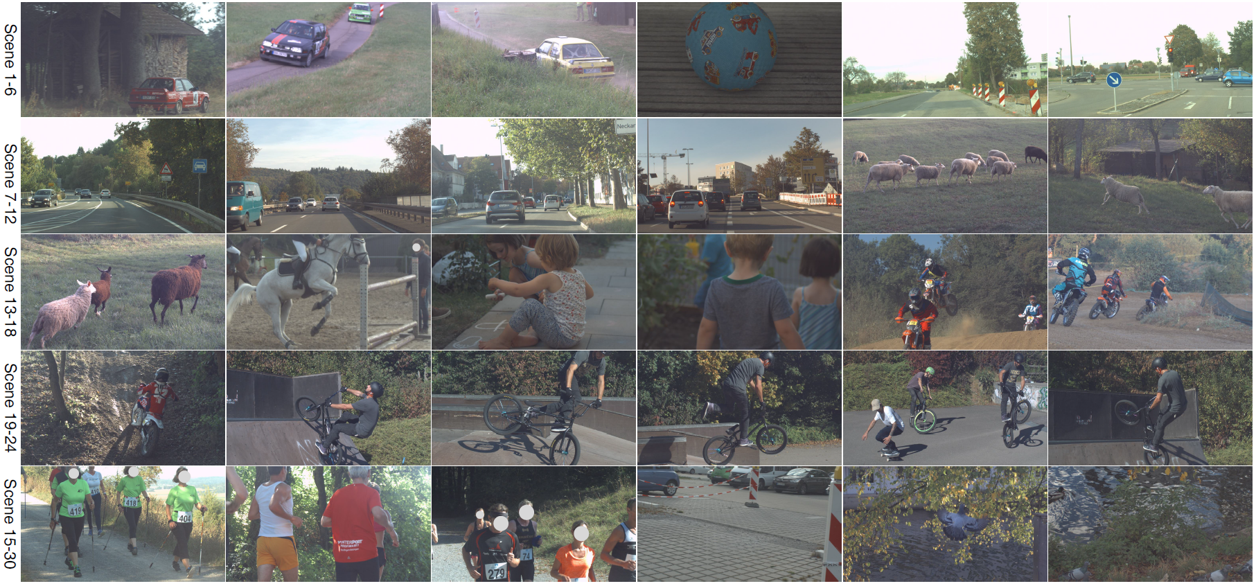 训练集抽样展示