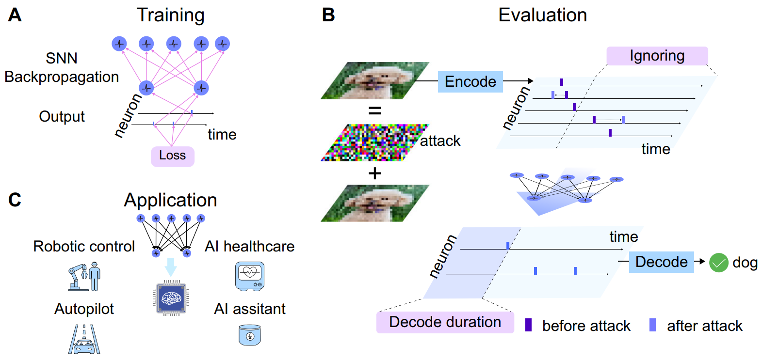 Neuromorphic Computing Paradigms Enhance Robustness through Spiking Neural Networks